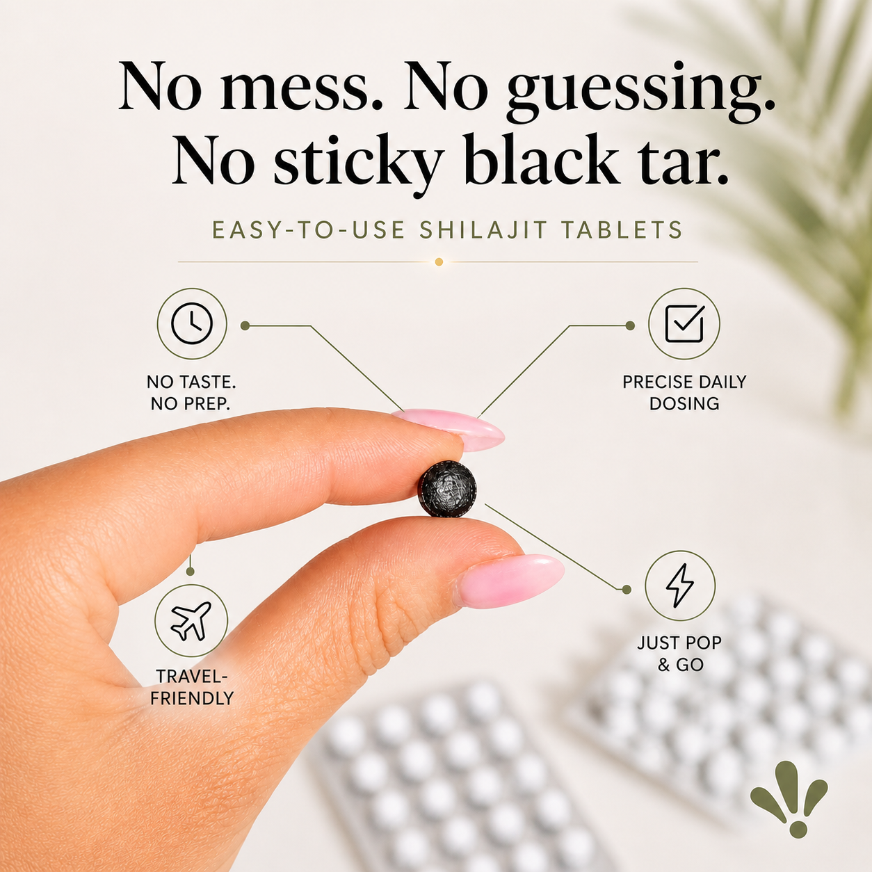 Shilajit Tablets